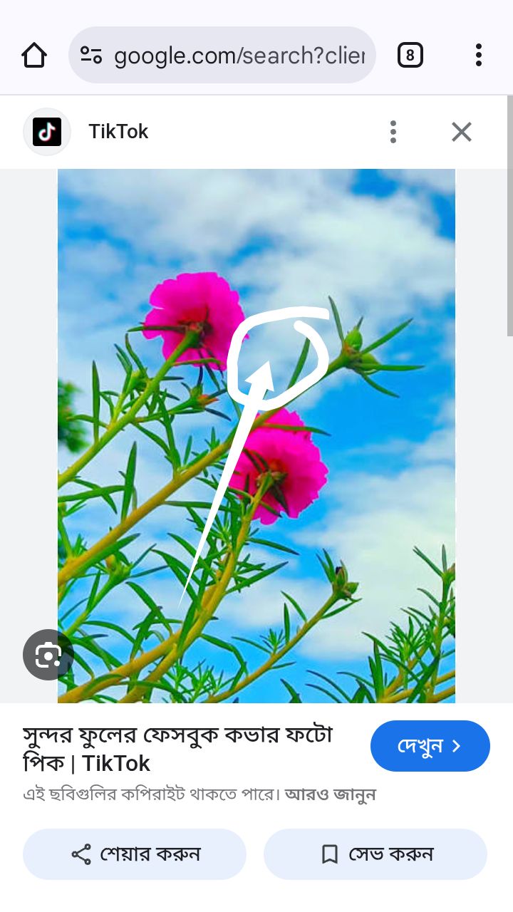 গুগল থেকে ছবি ডাউনলোড করবেন যেভাবে