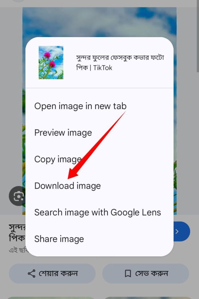 [ছবি - 7] Google থেকে ছবি ডাউনলোড করার সহজ নিয়ম, March 7, 2026