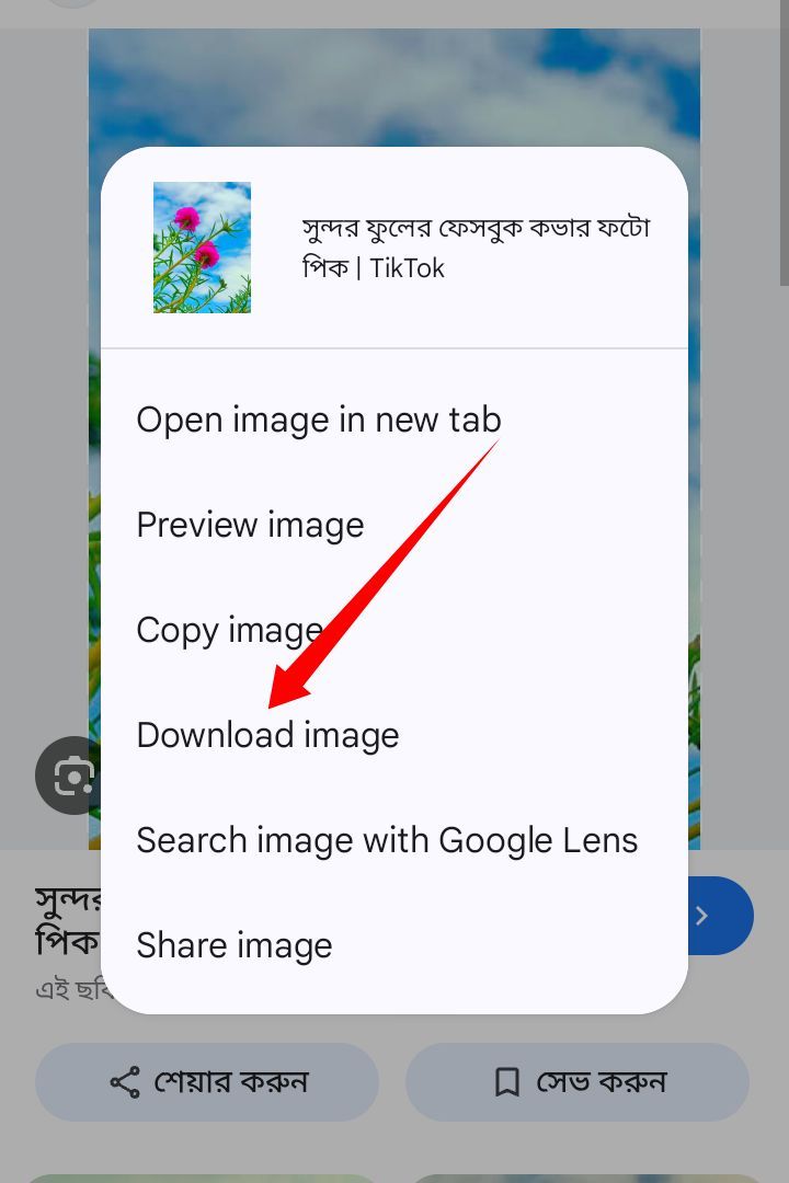 গুগল থেকে ছবি ডাউনলোড করবেন যেভাবে