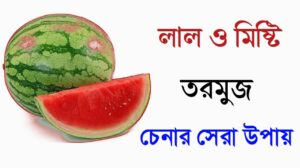 লাল ও মিষ্টি তরমুজ চেনার সেরা উপায়