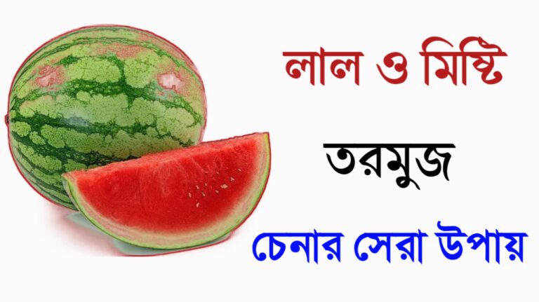 লাল ও মিষ্টি তরমুজ চেনার সেরা উপায়