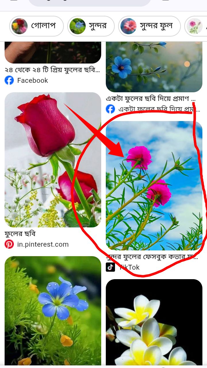 গুগল থেকে ছবি ডাউনলোড করবেন যেভাবে